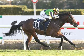 Saracino (NZ) claims Group 2 Lisa Chittick Foxbridge Plate at Te Rapa. Photo Credit: Trish Dunell.